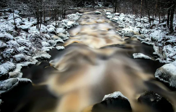 Картинка зима, лес, природа, река