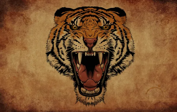 Картинка тигр, фон, пасть, клыки, рык