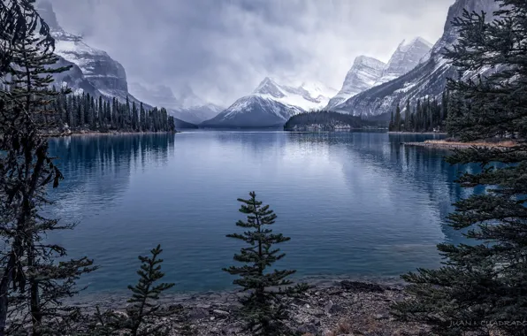 Картинка снег, деревья, пейзаж, горы, природа, озеро, ели, Канада