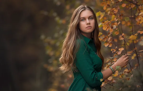 Осень, взгляд, девушка, ветки, природа, лицо, поза, милая