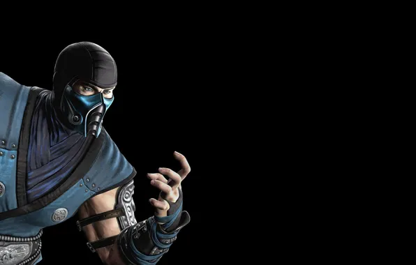 Mortal, kombat, sub-zero