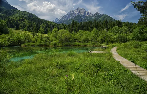 Картинка трава, горы, озеро, фото, тропа, Словения
