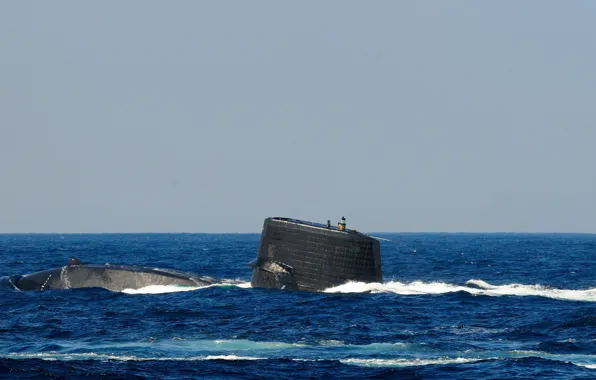 Картинка море, подводная лодка, типа, «Харусио», SS-506