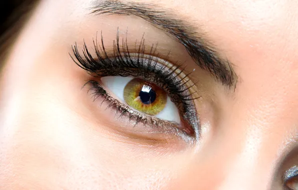 Woman, eyes, brown, eyelash