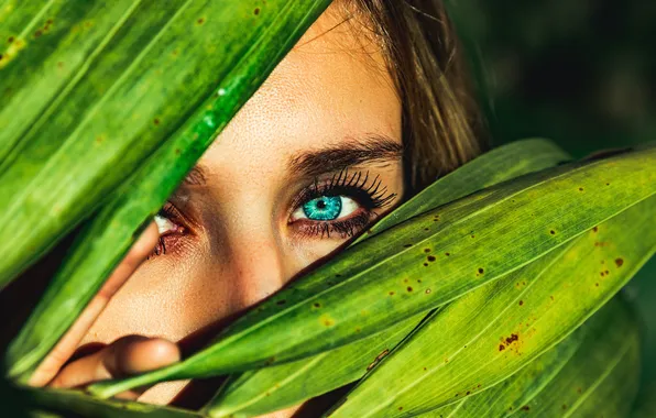 Картинка Photography, Macro, Blue eyes, Green leaves, Peek, Woman face