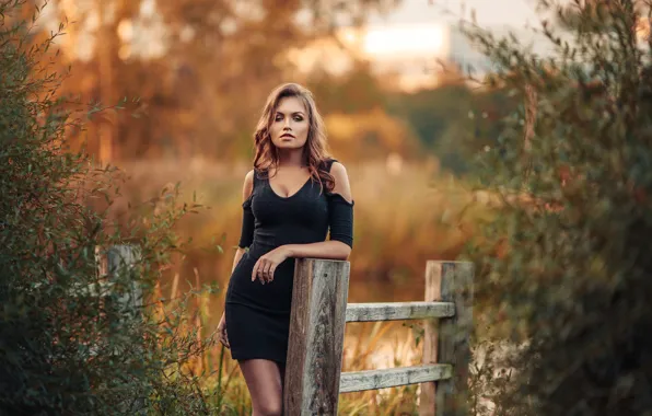 Взгляд, девушка, поза, забор, портрет, платье, декольте, рыжая