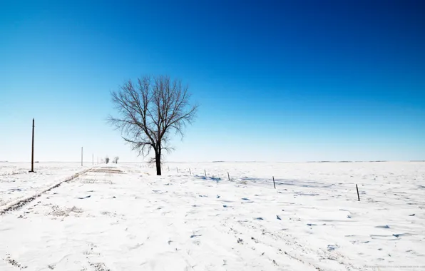 Картинка дорога, небо, снег, дерево, Зима