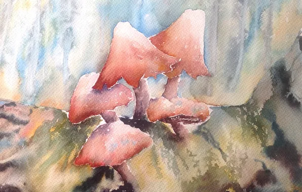 Картинка грибы, картина, акварель