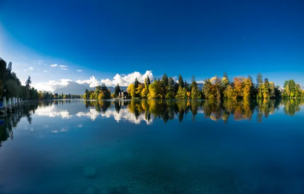 Осень, вода, деревья, отражение, река, Швейцария, Switzerland, река Аре