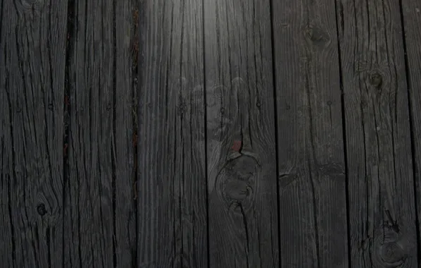 Wallpaper, monkey, wood, 1920x1080