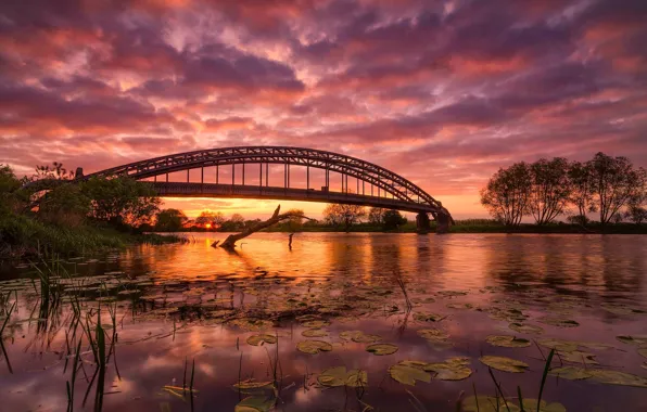 Картинка мост, природа, река, зарево
