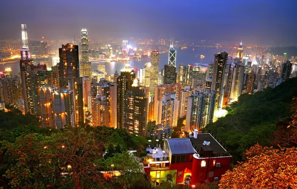 Картинка ночь, город, Hong Kong
