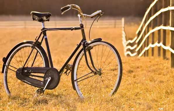 Картинка поле, велосипед, ограда