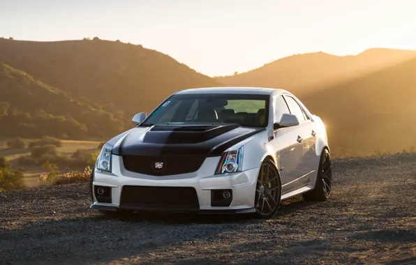 Cadillac, CTS-V, Black, White, Wheels