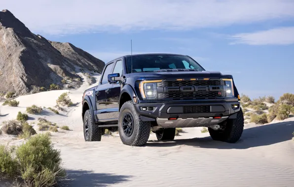 Ford, black, raptor