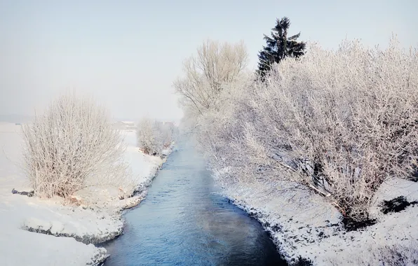 River, trees, winter, snow, fog, houses, freeze, mist