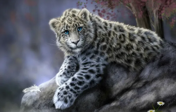 Картинка кошка, животное, камень, ромашки, леопард, ирбис, снежный барс, перышко
