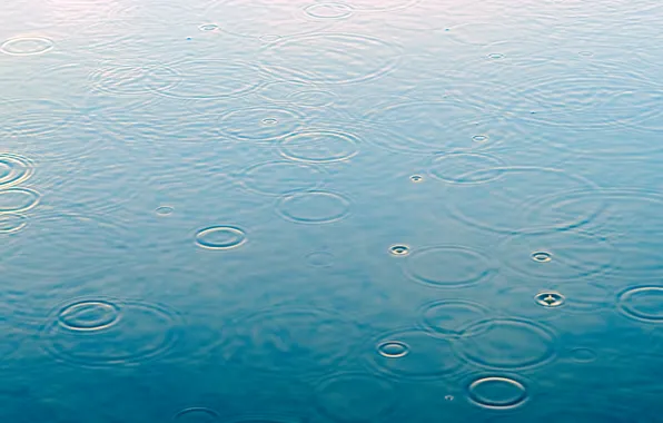 Вода, капли, макро, дождь, rain, water, drops, raindrops