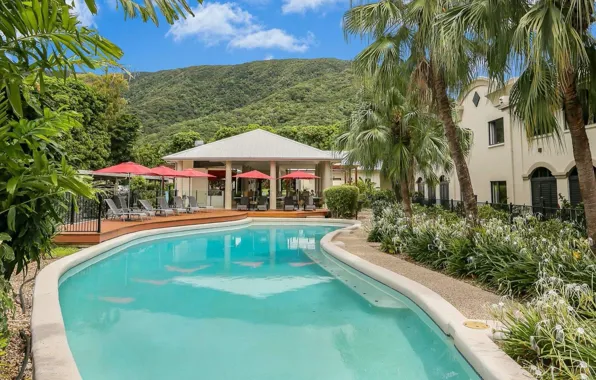 Пальмы, бассейн, Австралия, отель, курорт, Palm Cove, Mango Lagoon Resort