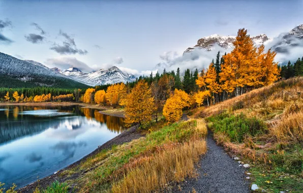 Картинка дорога, осень, лес, небо, листья, вода, облака, снег