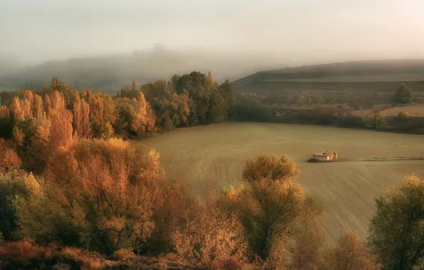 Картинка поле, осень, дымка, La cabaña