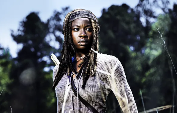 The Walking Dead, Michonne, Danai Gurira, Season 8