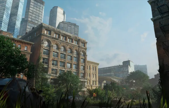 Картинка машины, город, апокалипсис, The Last of Us