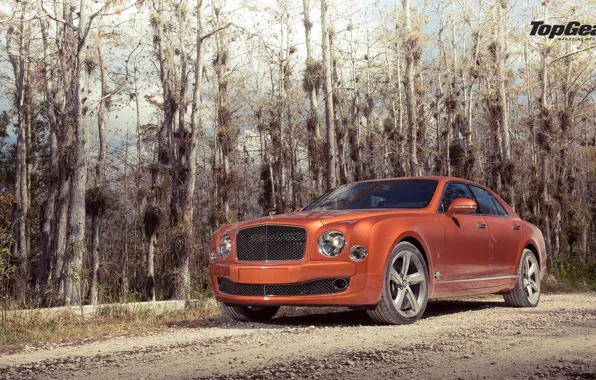 Bentley, Top Gear, Orange, Speed, Road, Ligth, Mulsanne