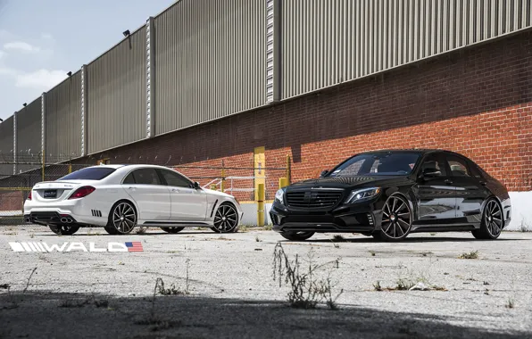 TUNING, WALD, MERCEDES, BENZ, BLACK BISON, W222, S-CLASS
