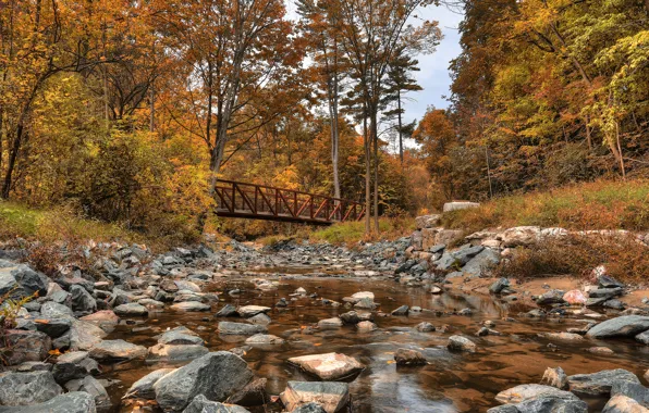 Картинка осень, лес, деревья, мост, камни, Канада, речка, Canada