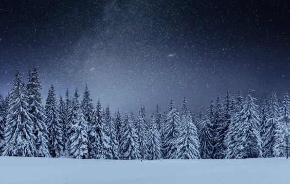 Картинка зима, снег, деревья, пейзаж, елки, landscape, winter, snow