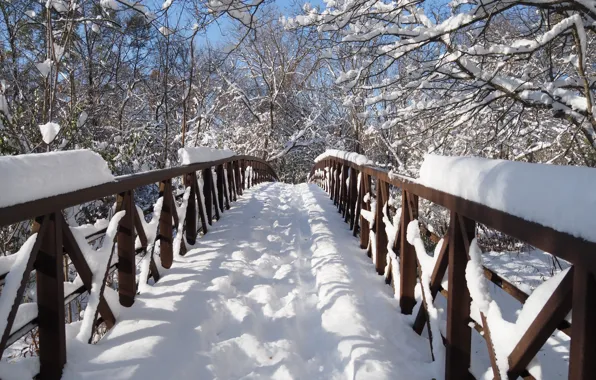 Картинка зима, снег, деревья, ветки, мост