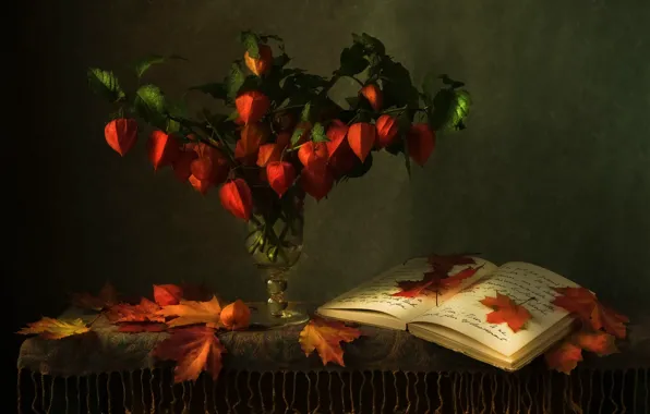 Стол, бокал, букет, книга, натюрморт, записи, физалис, осенние листья