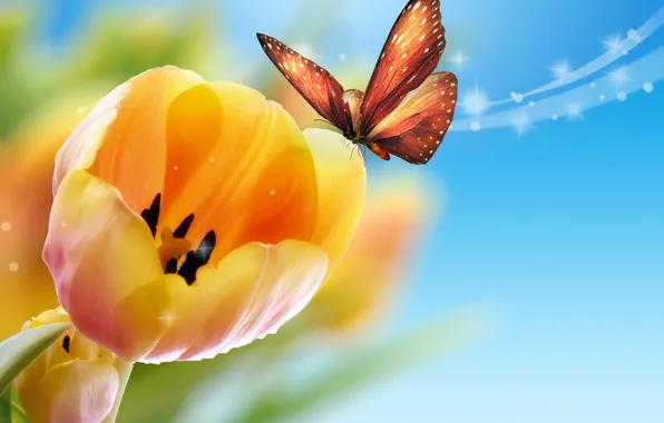 Картинка бабочка, желтые, тюльпаны, голубой фон