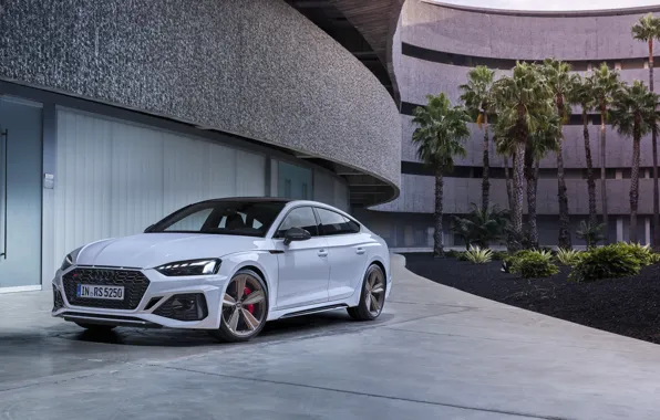 Audi, RS5, Sportback, RS 5, 2020