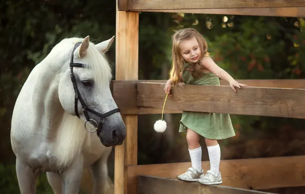 Картинка радость, одуванчик, лошадь, забор, девочка