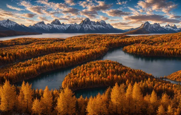 Forest, river, sky, landscape, autumn