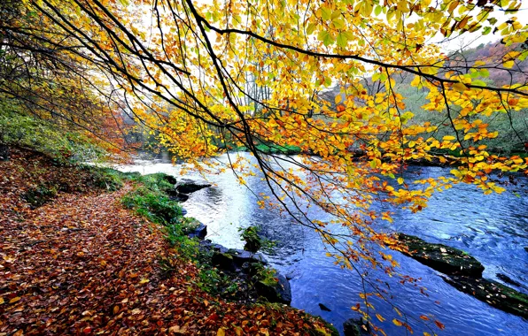Картинка осень, небо, деревья, горы, река, камни