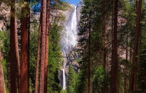 Картинка лес, солнце, деревья, камни, скалы, водопад, Калифорния, США