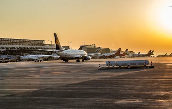 Картинка Закат, Восход, Аэропорт, Boeing, Самолёт, Пассажирский, 737