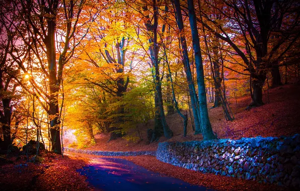 Дорога, осень, деревья, парк, листва