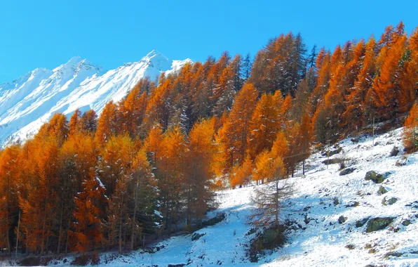 Картинка осень, небо, снег, деревья, горы, склон