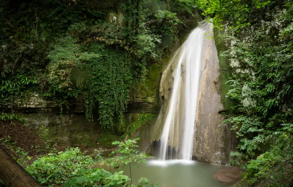 Картинка зелень, ветки, парк, скалы, листва, водопад, мох, Италия