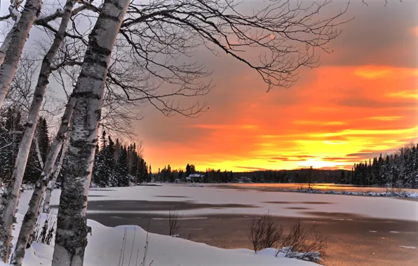 Зима, деревья, пейзаж, закат, природа, озеро, Канада, берёзы