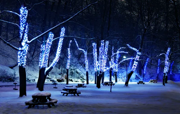Картинка снег, деревья, иллюминация