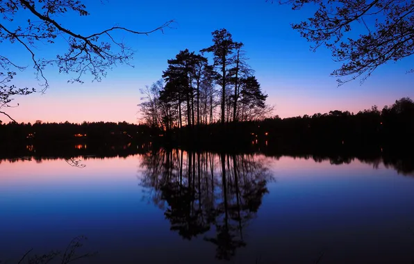 Картинка деревья, ночь, озеро, отражение, силуэт