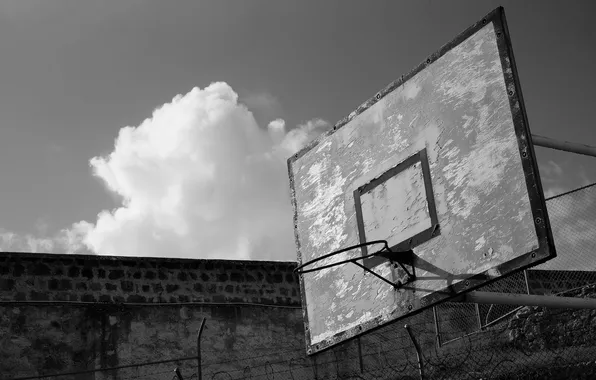 Спорт, кольцо, щит