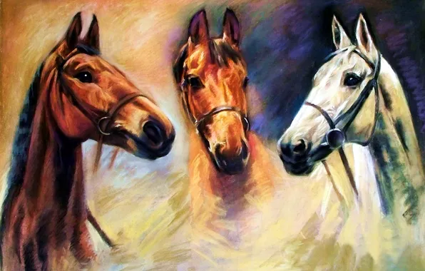 Картинка животные, глаза, взгляд, живопись, три коня