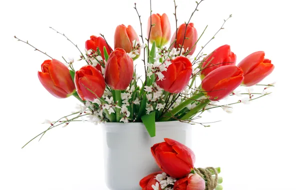 Цветы, букет, тюльпаны