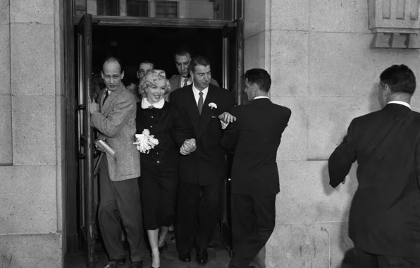 Модель, актриса, Мэрилин Монро, Marilyn Monroe, блондинка •